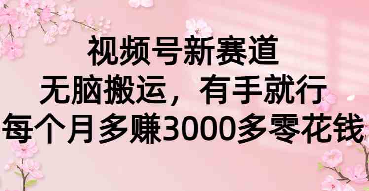 视频号新赛道，无脑搬运，有手就行，每个月多赚3000多零花钱-科景网创