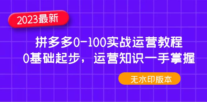 2023拼多多0-100实战运营教程，0基础起步，运营知识一手掌握（无水印）-科景网创