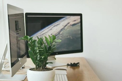 新手指南：怎么自己创建一个网站的详细步骤解析