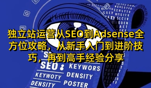 独立站运营从SEO到Adsense全方位攻略，从新手入门到进阶技巧，再到高手经验分享-科景网创