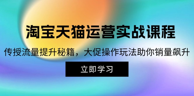 （12959期）淘宝&天猫运营实战课程，传授流量提升秘籍，大促操作玩法助你销量飙升-科景网创