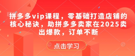 拼多多vip课程，零基础打造店铺的核心秘诀，助拼多多卖家在2025卖出爆款，订单不断-科景网创