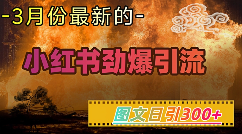 小红书超劲爆引流手段，图文日引300+轻松变现1W-科景网创