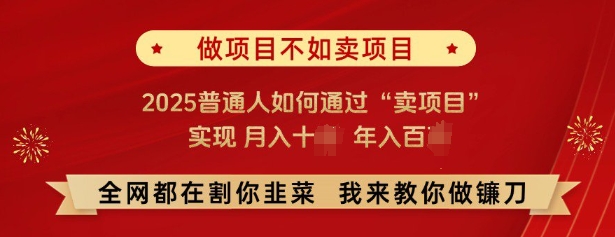 必看，做项目不如卖项目，2025普通人如何通过“卖项目”实现月入十个，年入百个-科景网创