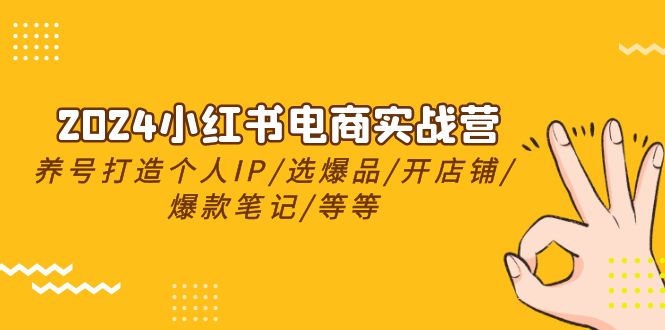 2024小红书电商实战营，养号打造IP/选爆品/开店铺/爆款笔记/等等（24节）-科景网创