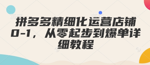 拼多多精细化运营店铺0-1，从零起步到爆单详细教程-科景网创