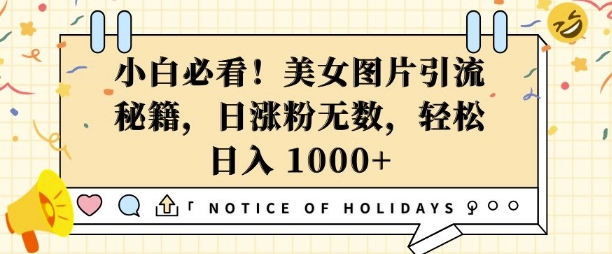 小白必看，美女图片引流秘籍，日涨粉无数，轻松日入几张【揭秘】-科景网创