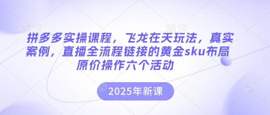 拼多多实操课程，飞龙在天玩法，真实案例，直播全流程链接的黄金sku布局原价操作六个活动-科景网创
