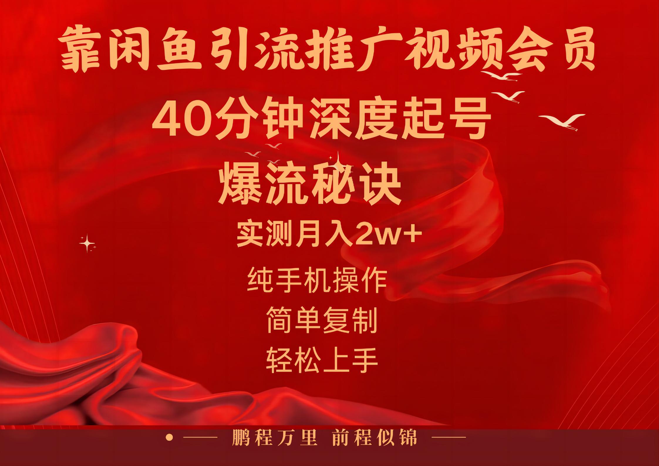 闲鱼暴力引流推广视频会员，能做到日入2W+，操作简单-科景网创