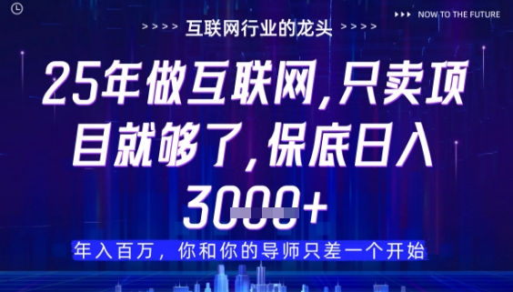 什么！25年你还在找项目做？风口早就变了，卖项目才是稳挣不赔【揭秘】-科景网创