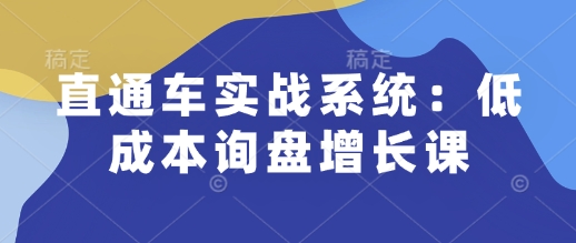 直通车实战系统：低成本询盘增长课，让个人通过技能实现升职加薪，让企业低成本获客，订单源源不断-科景网创
