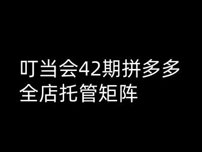 叮当会拼多多打爆班原创高阶技术第42期，拼多多全店托管矩阵-科景网创