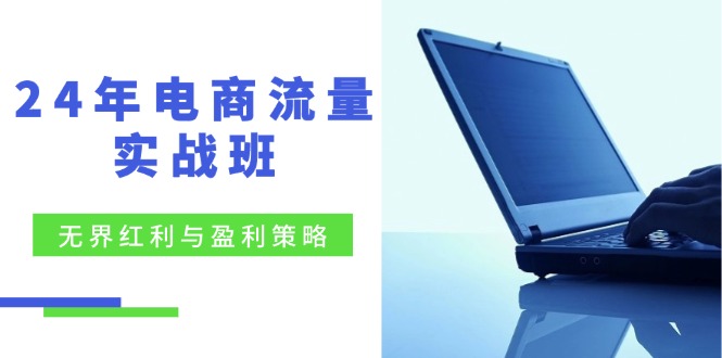 24年电商流量实战班：无界 红利与盈利策略，终极提升/关键词优化/精准…-科景网创
