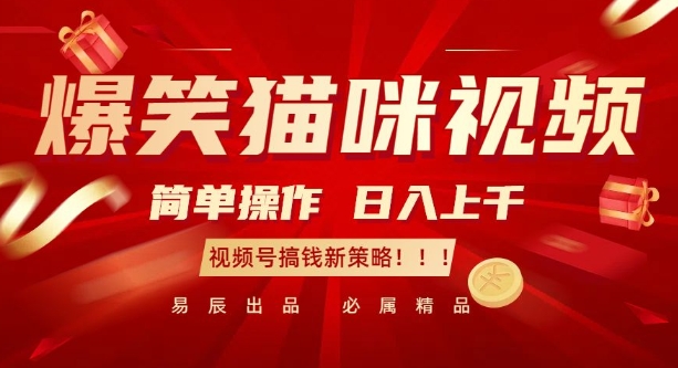 爆笑猫咪视频：简单操作，日入过K，视频号搞钱新策略【揭秘】-科景网创