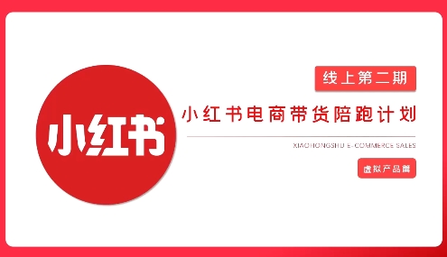2025小红书虚拟电商实战课，从0到1打造无货源店铺，AI+爆款笔记轻松变现-科景网创
