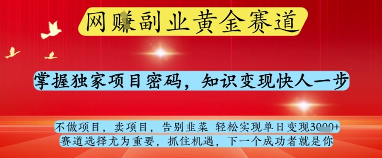网创副业黄全赛道，掌握独家项目密码，知识变现快人一步，告别韭菜轻松实现单日变现1k+【揭秘】-科景网创