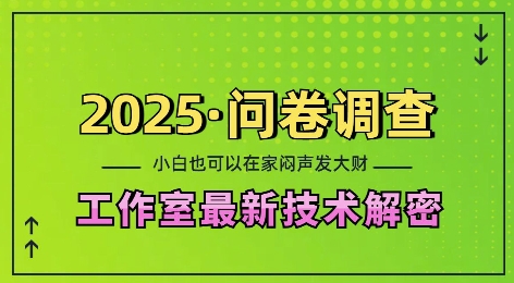 2025问卷调查最新工作室技术解密：一个人在家也可以闷声发大财，小白一天2张，可矩阵放大【揭秘】-科景网创