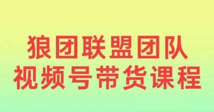 狼团联盟2024视频号带货，0基础小白快速入局视频号-科景网创