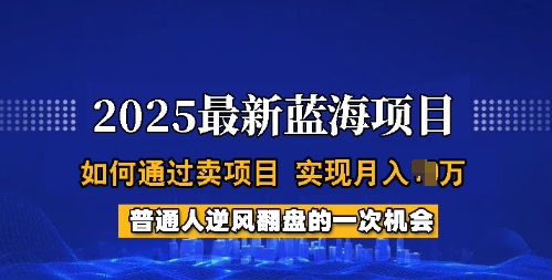 2025蓝海项目，普通人如何通过卖项目，实现月入过W，全过程【揭秘】-科景网创