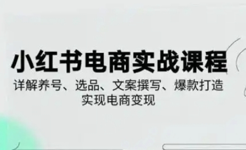 小红书从0-1实操课(2023-2025)，详解养号、选品、文案撰写、爆款打造实现电商变现-科景网创
