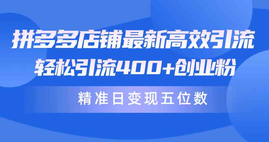 拼多多店铺最新高效引流术，轻松引流400+创业粉，精准日变现五位数！-科景网创