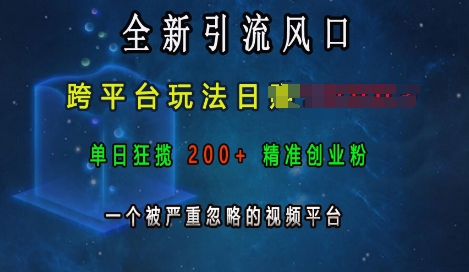 全新引流风口，跨平台玩法日入上k，单日狂揽200+精准创业粉，一个被严重忽略的视频平台-科景网创
