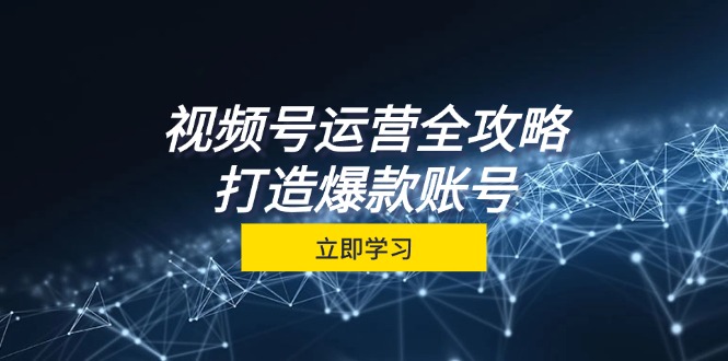 （12912期）视频号运营全攻略，从定位到成交一站式学习，视频号核心秘诀，打造爆款…-科景网创