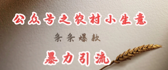 deepseek写农村小项目，条条爆款，暴力引流-科景网创