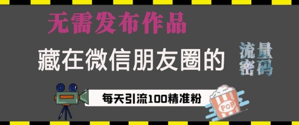 藏在微信朋友圈的流量密码，无需发布作品，单日引流100+精准创业粉【揭秘】-科景网创