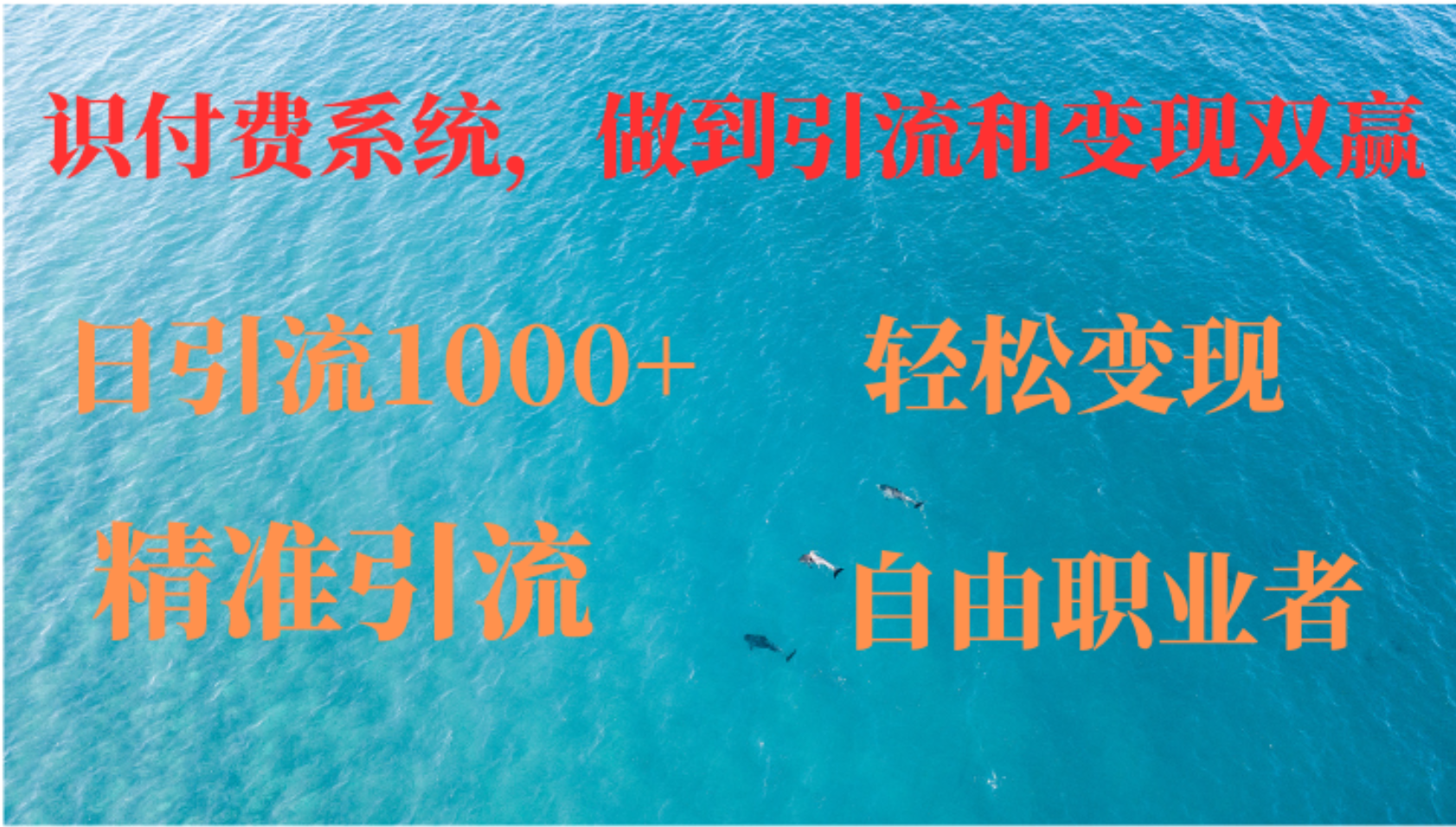 如何搭建自己的知识付费系统，做到引流和变现双赢-科景网创