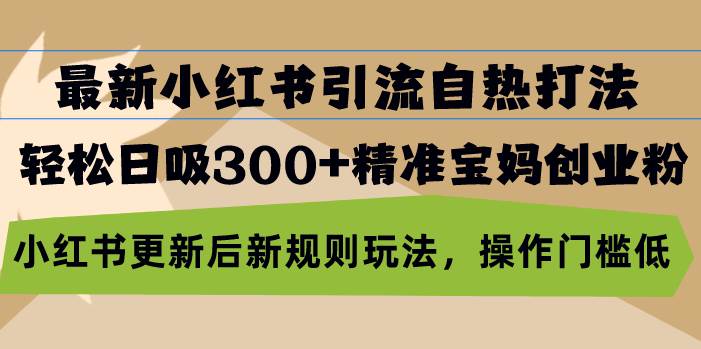 最新小红书引流自热打法，轻松日吸300+精准宝妈创业粉，小红书更新后新…-科景网创