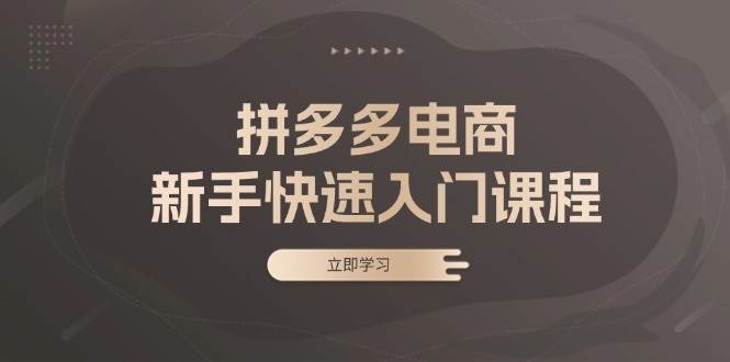 拼多多电商新手快速入门课程：涵盖基础、实战与选款，助力小白轻松上手-科景网创