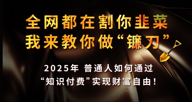 全网都在割你韭菜，我来教你做镰刀，2025年普通人如何通过 知识付费 实现财F自由【揭秘】-科景网创