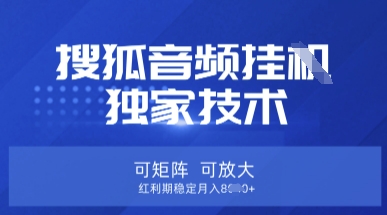 【搜狐音频挂G】独家技术，可矩阵可放大，红利期稳定月入8k【揭秘】-科景网创