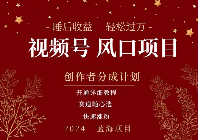 拥有睡眠收益的微信视频号大风口项目，轻松月入过万+，多赛道选择，可…-科景网创