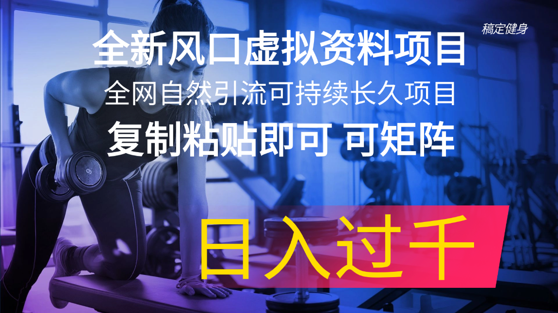 全新风口虚拟资料项目 全网自然引流可持续长久项目 复制粘贴即可可矩阵…-科景网创