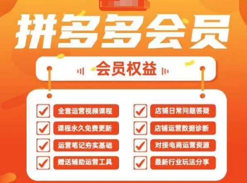 2025拼多多运营实战课，40节全流程教学，覆盖拼多多运营全链路-科景网创