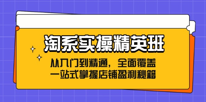 淘系实操精英班：从入门到精通，全面覆盖，一站式掌握店铺盈利秘籍-科景网创