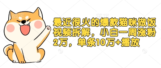 最近很火的爆款猫咪做饭视频拆解，小白一周涨粉2万，单条10万+播放(附保姆级教程)-科景网创