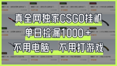 真全网独家CSGO挂G，单日捡漏1k+【揭秘】-科景网创