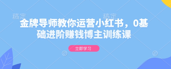 金牌导师教你运营小红书，0基础进阶赚钱博主训练课-科景网创