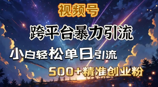 跨平台暴力引流，私域完美闭环，日引500+精准创业粉-科景网创