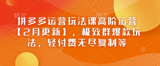 拼多多运营玩法课高阶运营【2月更新】，极致群爆款玩法，轻付费无尽复制等-科景网创