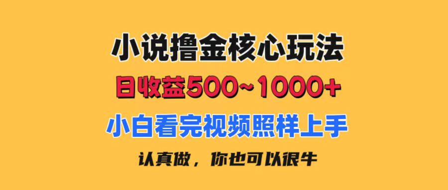 小说撸金核心玩法，日收益500-1000+，小白看完照样上手，0成本有手就行-科景网创