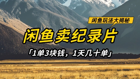闲鱼卖纪录片1单3块钱，1天几十单，项目稳定有潜力-科景网创