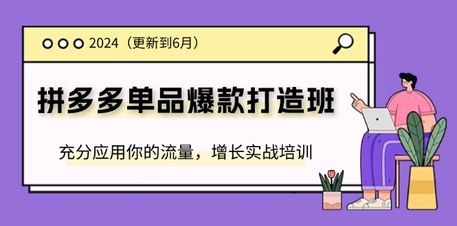 2024拼多多-单品爆款打造班(更新6月)，充分应用你的流量，增长实战培训-科景网创