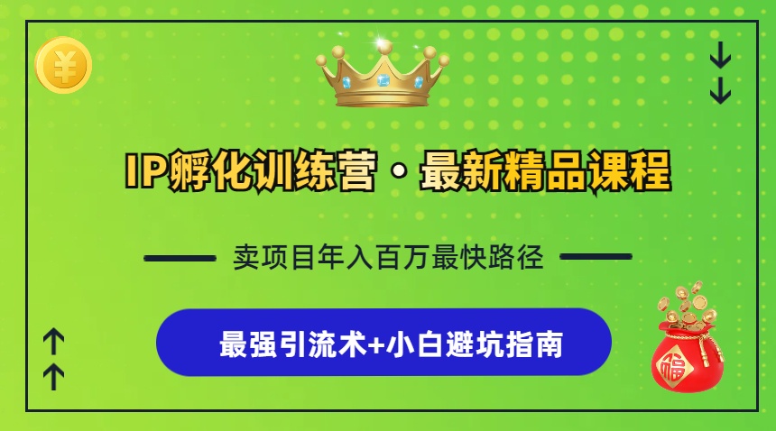 IP孵化训练营，知识付费全流程+最强引流术+小白避坑指南-科景网创