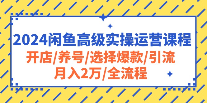 2024闲鱼高级实操运营课程：开店/养号/选择爆款/引流/月入2万/全流程-科景网创