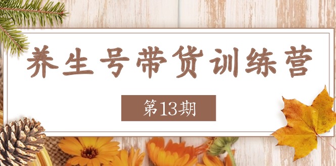 养生号-带货训练营【第13期】收益更稳定的玩法，让你带货收益爆炸-科景网创