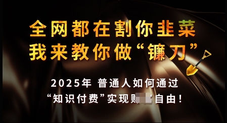 知识付费如何做到月入过W+，2025我来教你做“镰刀”【揭秘】-科景网创